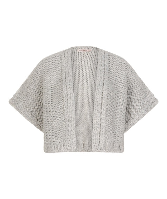 Gilet cardigan F25.07500W25 Light grey