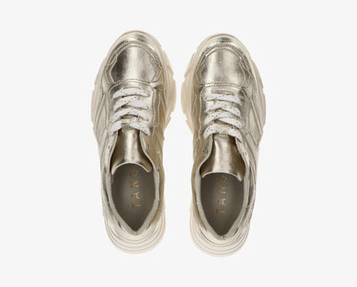 Sneakers kady platino gold  W1201 Gold
