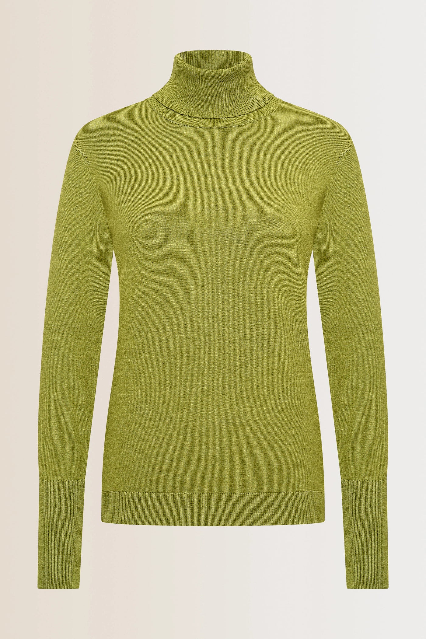 Pullover basic turtleneck EX11-25927 Groen